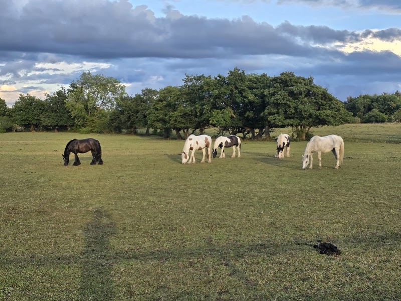 Woodgate Valley Country Park