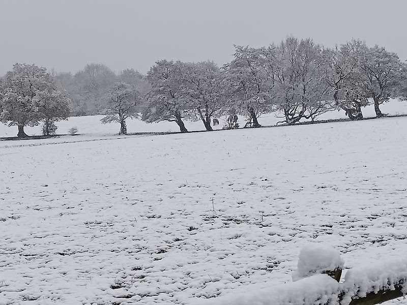 Woodgate Valley Country Park