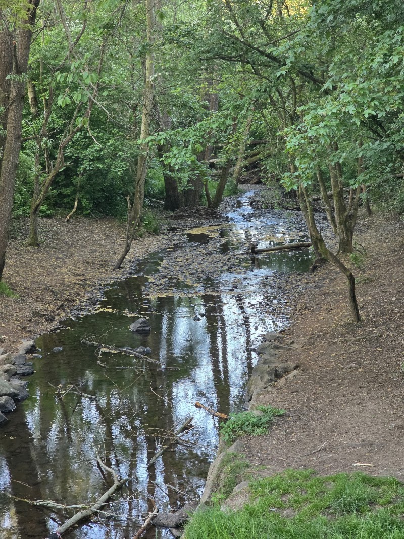 Woodgate Valley Country Park