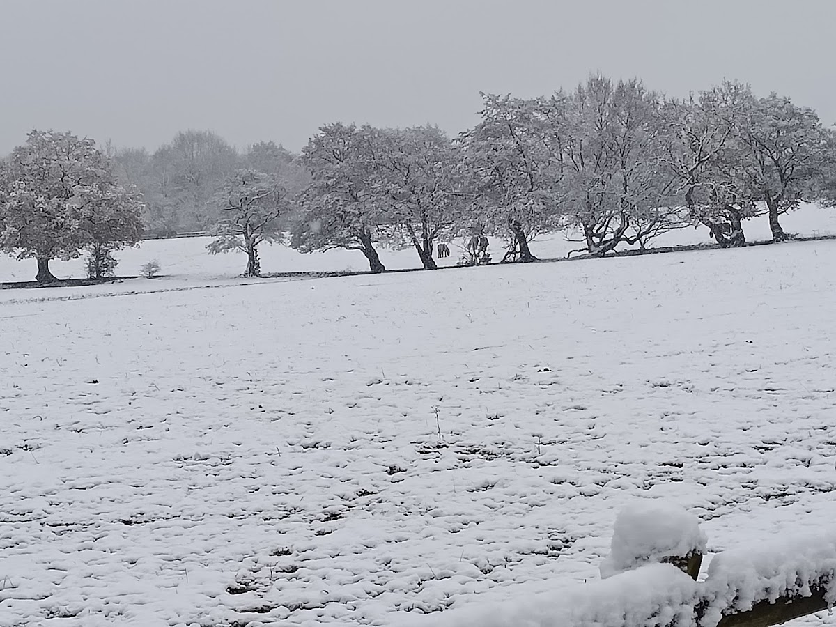 Woodgate Valley Country Park — Park