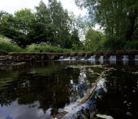 Restoring Birmingham’s Rivers: The Story of the River Cole, the River Rea, and the Fight to Protect Aquatic Ecosystems
