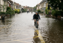 How Birmingham Manages Stormwater: Rain Gardens, Permeable Paving, and Flood Engineering
