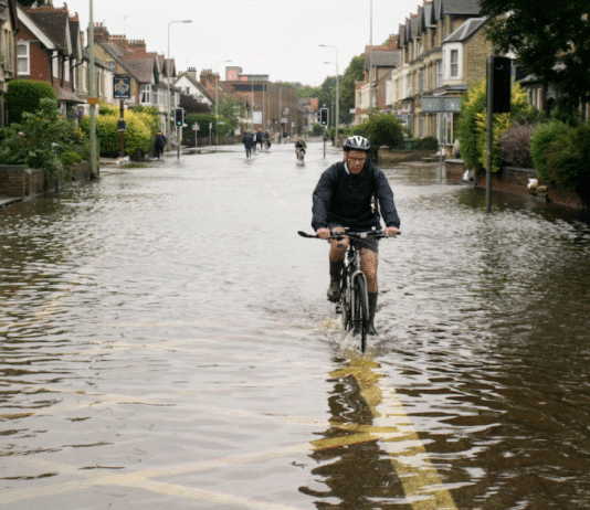 How Birmingham Manages Stormwater: Rain Gardens, Permeable Paving, and Flood Engineering